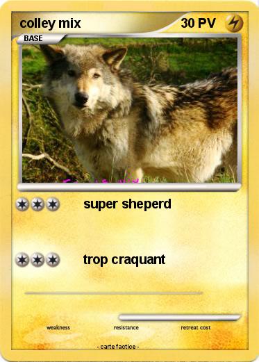 Pokemon colley mix