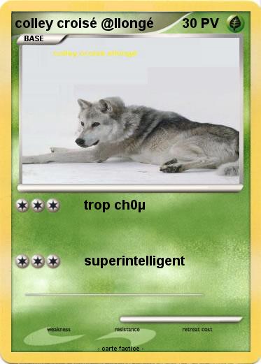 Pokemon colley croisé @llongé