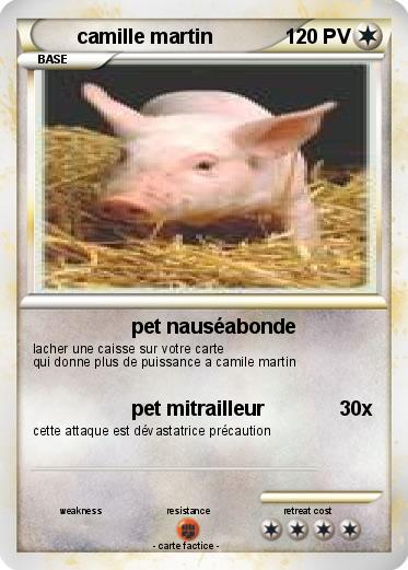 Pokemon camille martin