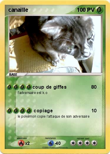 Pokemon canaille