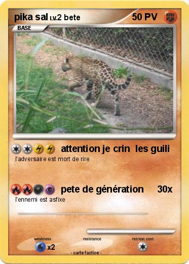 Pokemon pika sal