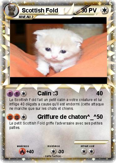 Pokemon Scottish Fold