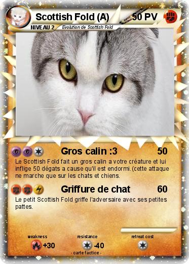 Pokemon Scottish Fold (A)