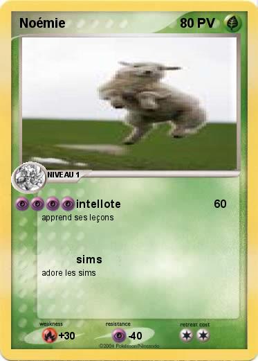Pokemon Noémie
