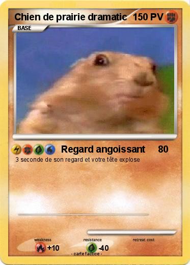 Pokemon Chien de prairie dramatic