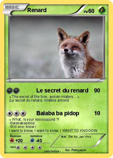 Pokemon Renard