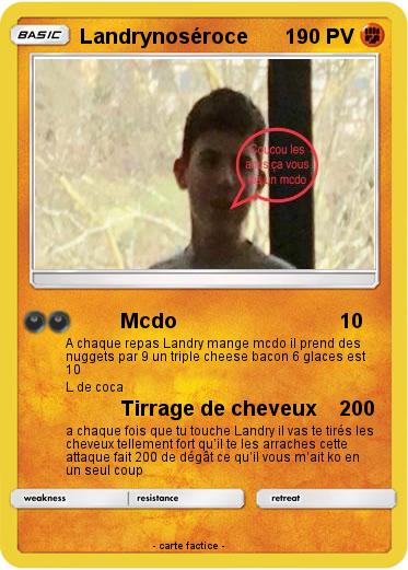 Pokemon Landrynoséroce