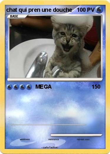 Pokemon chat qui pren une douche