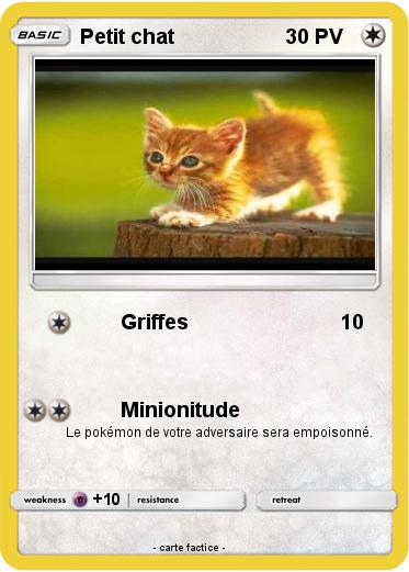 Pokemon Petit chat