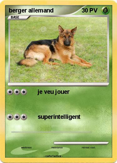 Pokemon berger allemand