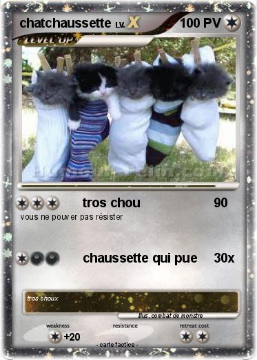 Pokemon chatchaussette