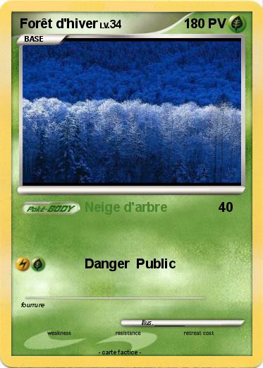Pokemon Forêt d'hiver