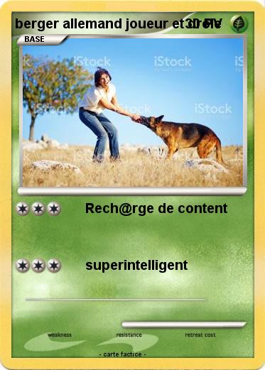 Pokemon berger allemand joueur et drôle