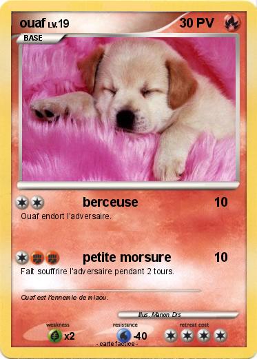 Pokemon ouaf