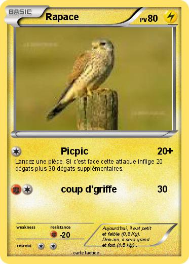 Pokemon Rapace