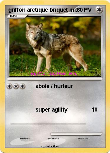 Pokemon griffon arctique briquet mix