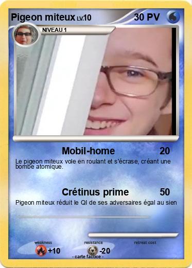 Pokemon Pigeon miteux