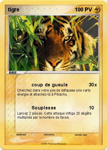 Pokemon tigre