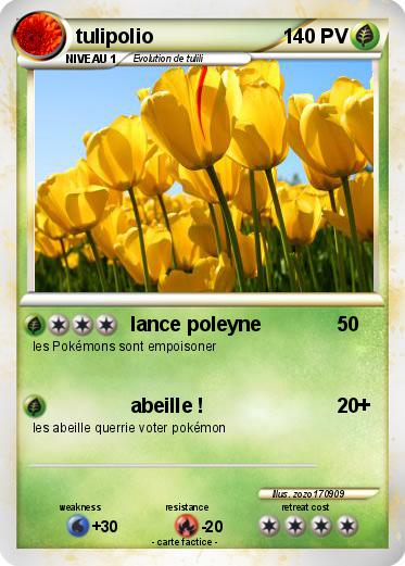 Pokemon tulipolio