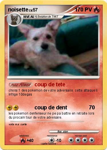 Pokemon noisette