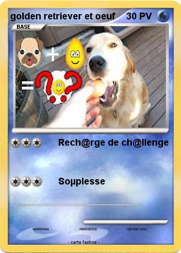 Pokemon golden retriever et oeuf