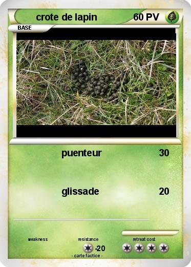 Pokemon crote de lapin