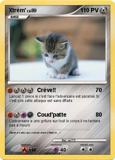 Pokemon Xtrèm'