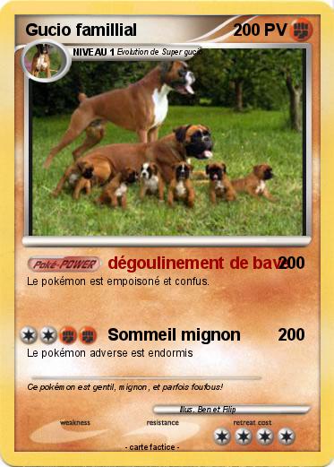 Pokemon Gucio famillial