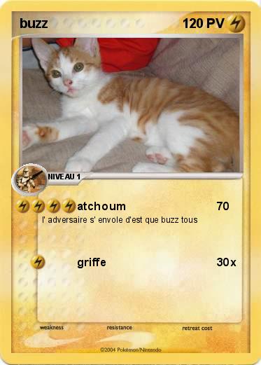 Pokemon buzz