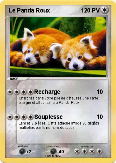 Pokemon Le Panda Roux