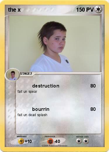 Pokemon the x