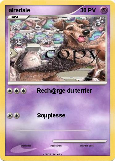 Pokemon airedale