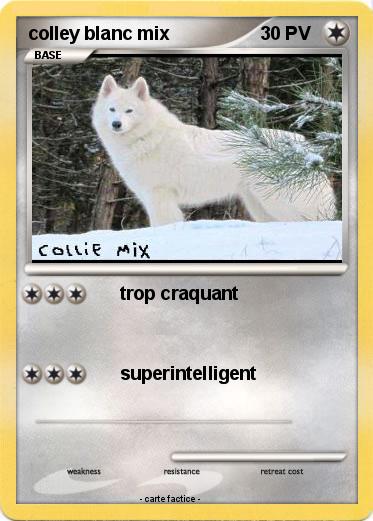 Pokemon colley blanc mix