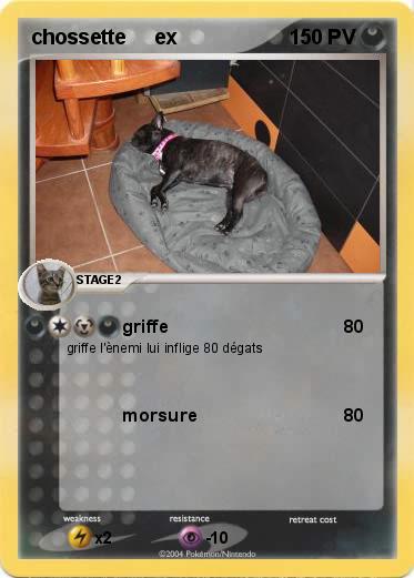 Pokemon chossette     ex
