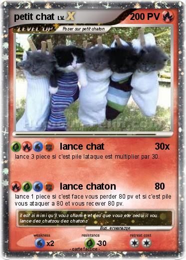 Pokemon petit chat