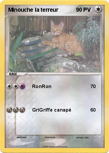 Pokemon Minouche la terreur