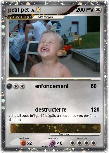 Pokemon petit pet