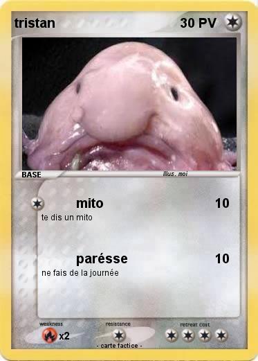Pokemon tristan