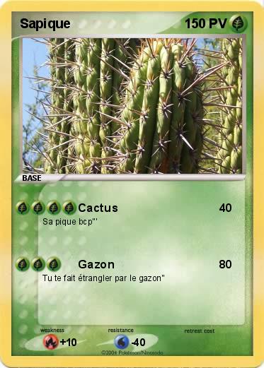 Pokemon Sapique