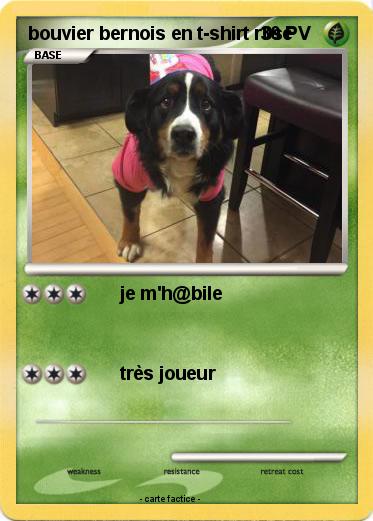 Pokemon bouvier bernois en t-shirt r0se