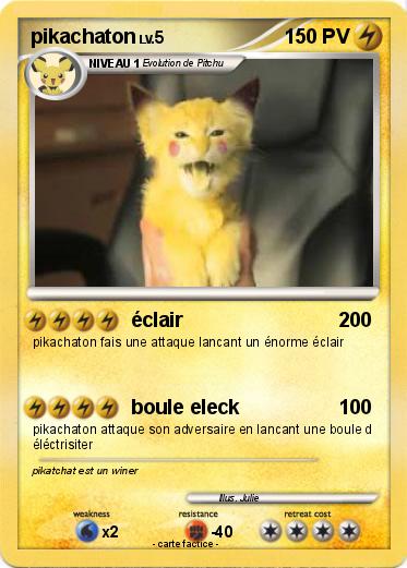 Pokemon pikachaton