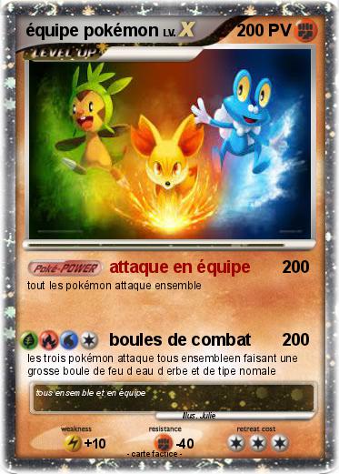 Pokemon équipe pokémon