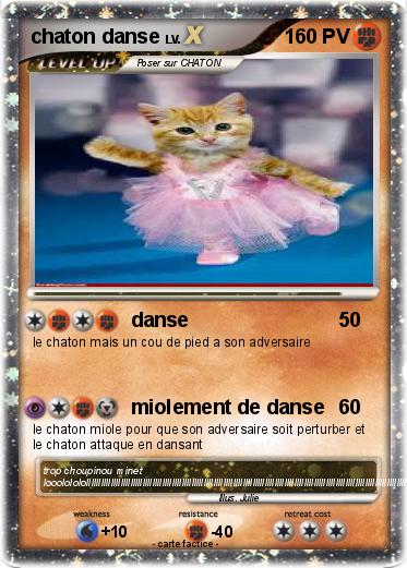 Pokemon chaton danse
