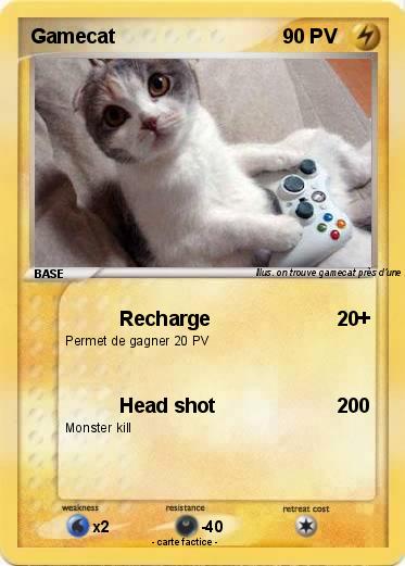 Pokemon Gamecat