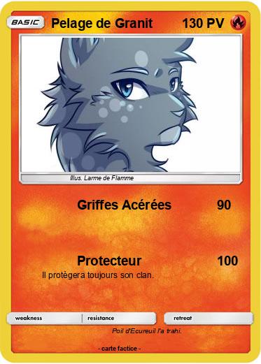 Pokemon Pelage de Granit