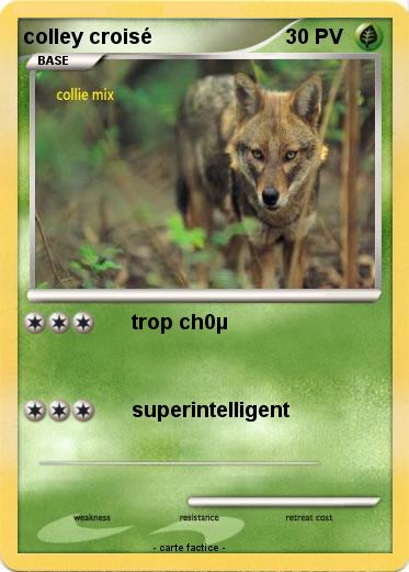 Pokemon colley croisé