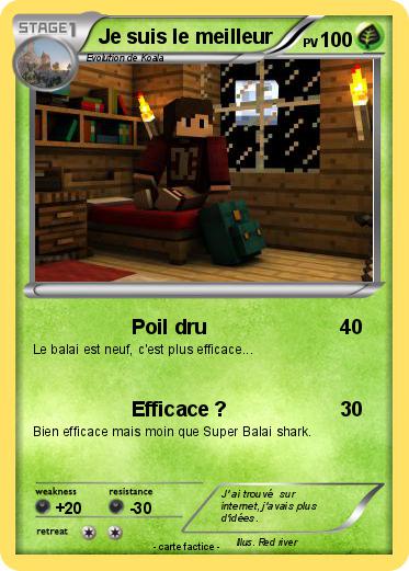 Pokemon Je suis le meilleur