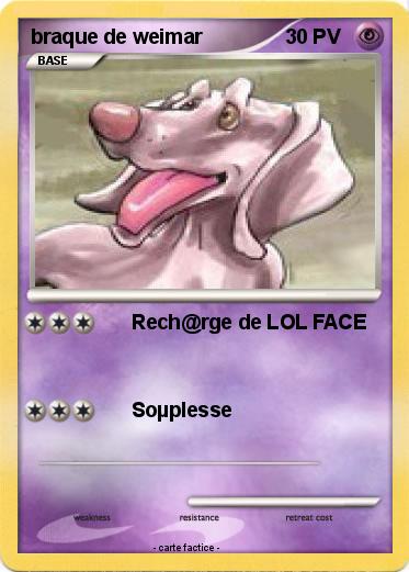 Pokemon braque de weimar