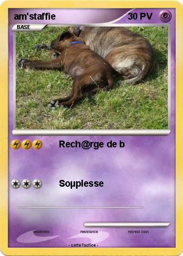 Pokemon am'staffie