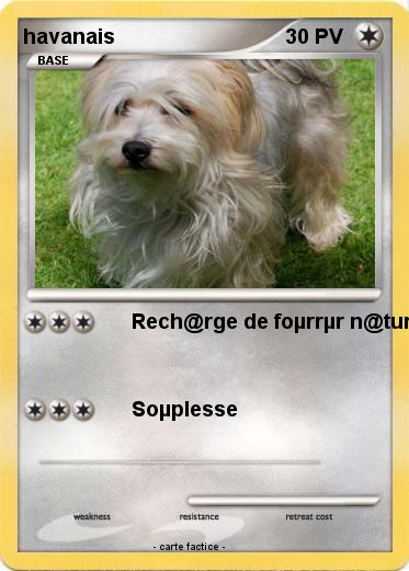 Pokemon havanais